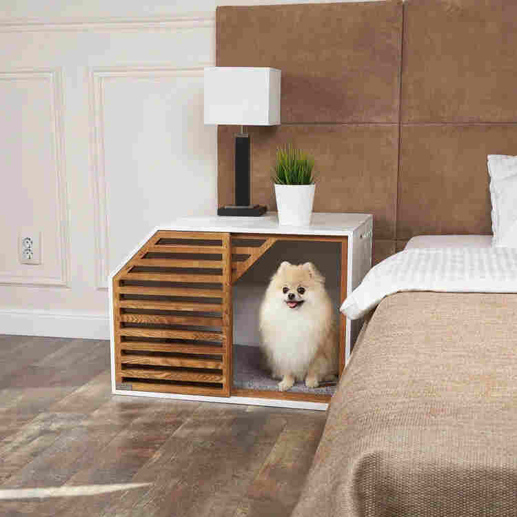 House for dogs