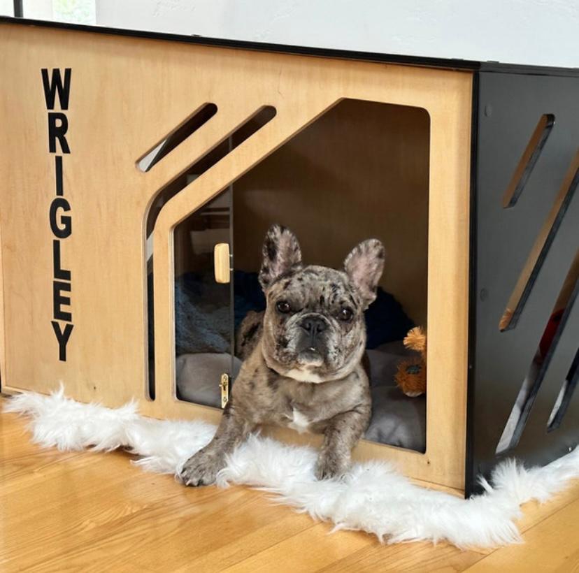 Dog kennel with plexiglass sliding door, house for dogs from small to large breeds, with your pet's name - WoW WooD