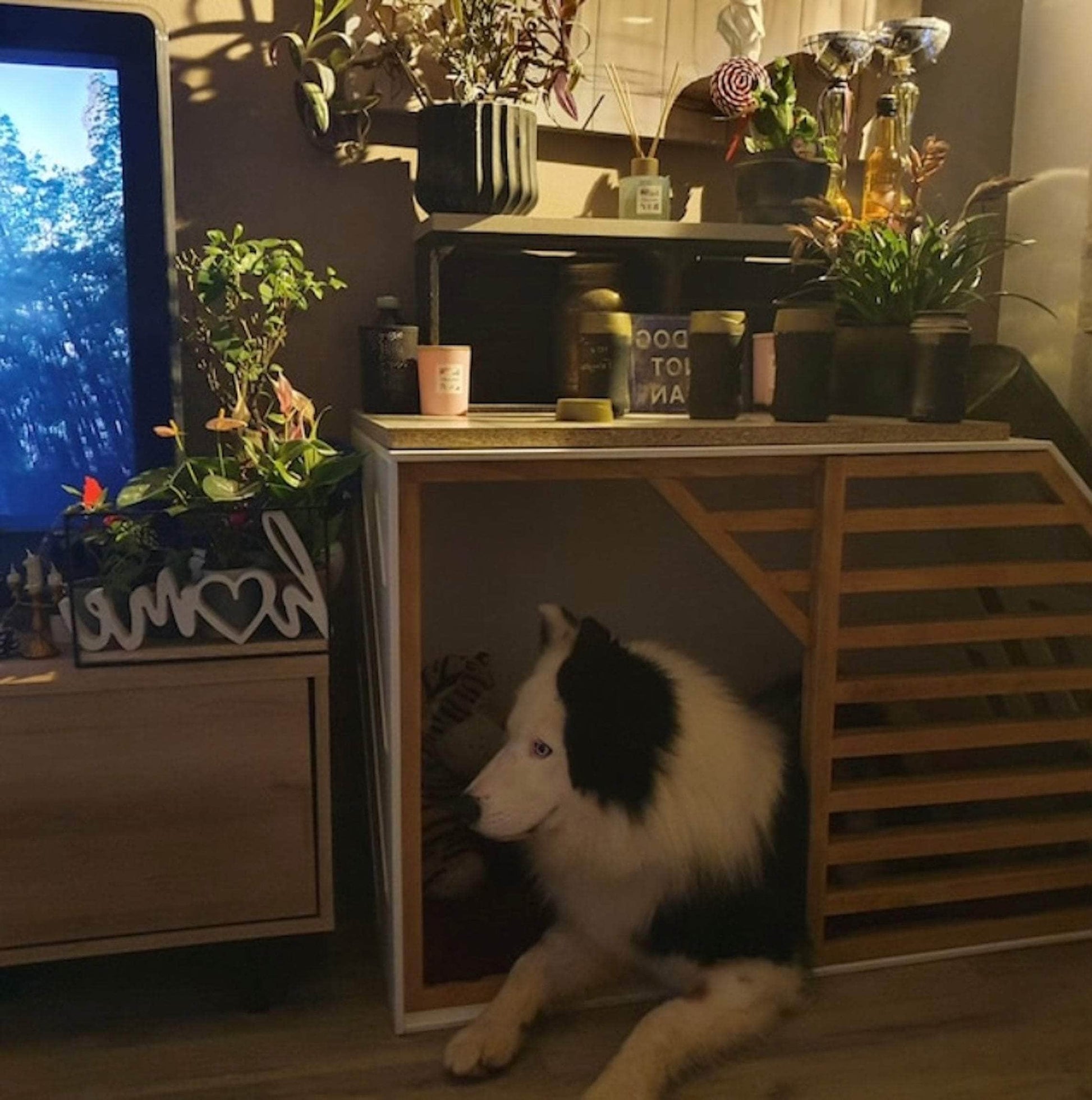 Stylish home for your pet - WoW WooD