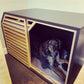 Amazing Black Dog House with Slide Door - Comfortable Pet Shelter