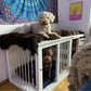 Handcrafted White Wood Crate for Two Dogs - Stylish, Comfortable